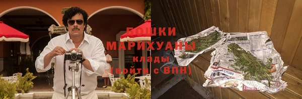 хмурый Арсеньев