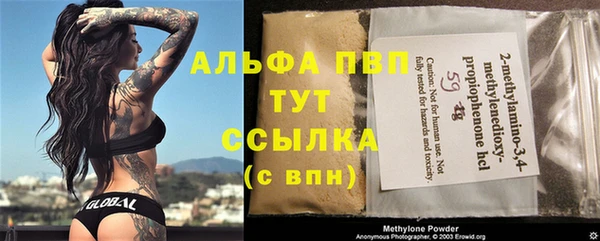 хмурый Арсеньев