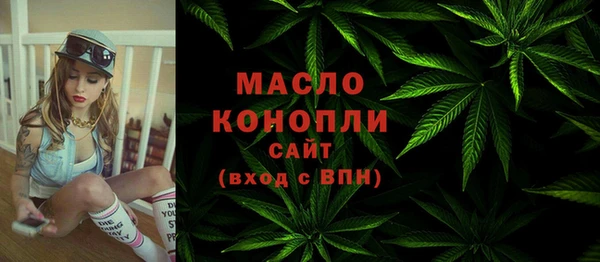 хмурый Арсеньев